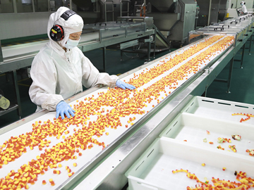 26.食品行业WMS软件案例
